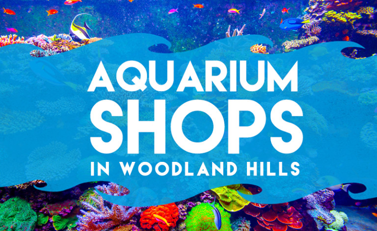 Some of the Best Saltwater Aquarium Shops in Woodland Hills - Aquarium Shops In WooDlanD Hills Cover Copy 768x471