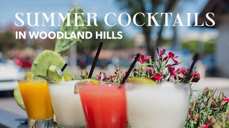 featured image for magazine summer cocktails in woodland hills