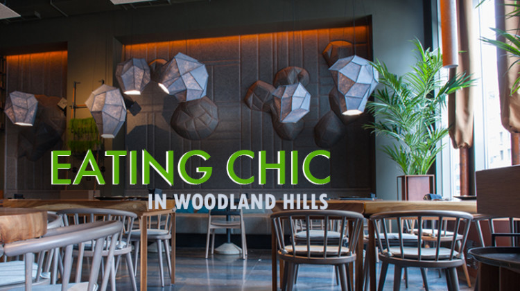 The Top Concept Restaurants in Woodland Hills
