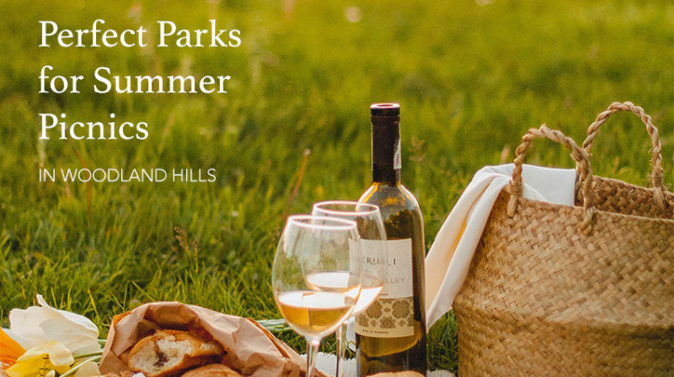 featured blog image for Magazine Summer Picnics in Woodland Hills