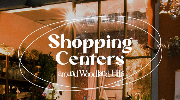 Featured image for magazine shopping centers around woodland hills