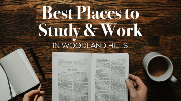 Best Places to Study in Woodland Hills