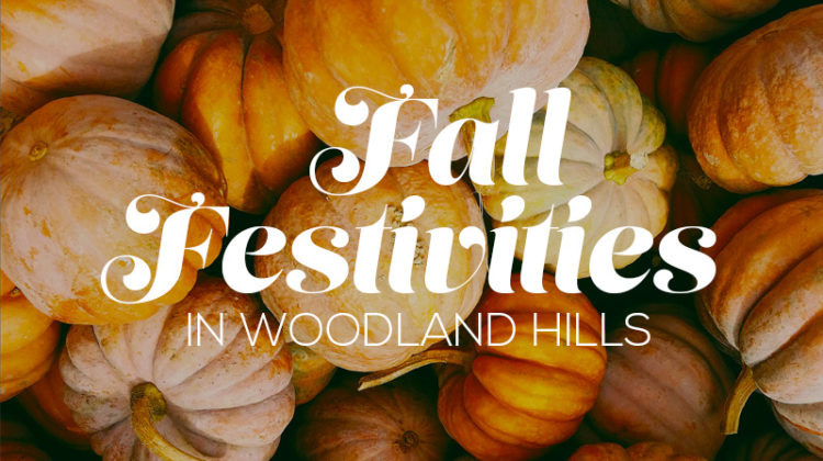 Fall Festivities in Woodland Hills